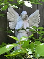 Front view of white angel statue among foliage