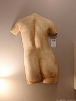 Full view of wall-mounted plaster torso