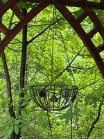 Full view of hanging wrought iron basket under arbor showing overall form and hanging chain