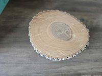 Top view of wood slice showing growth rings and bark edge