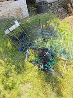 Overview of traps and wire panels on grass
