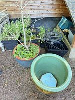 Overview of two ceramic planters, black plastic planters and blue bowl
