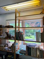 Full shelving unit showing books, driftwood and natural decor