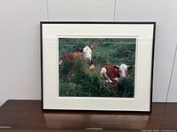Framed photograph front view showing subject and frame
