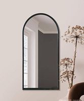 Stock-style image showing full mirror front with black frame