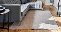 Rug staged under sectional sofa showing color and pile