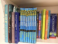 Full shelf showing seven Hardy Boys hardcovers with distinctive blue spines, four larger books on left and several assorted paperbacks and dictionary on right