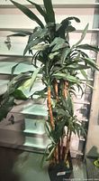 Full view of tall faux bamboo tree and pot