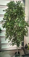 Full view of faux birch tree with leaves and trunk in pot