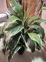 Full view of artificial plant showing foliage and pot