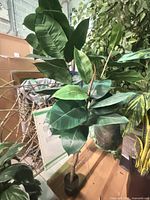 Full view of artificial rubber tree showing leaves and trunk in pot