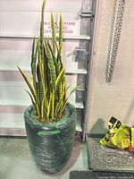 Full view of faux snake plant in black pot wrapped for transport