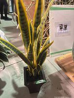 Full view of faux snake plant in black metal planter