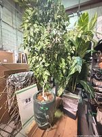 Full view of faux tree and planter