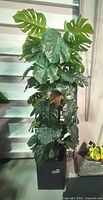 Full view of faux tropical tree and planter