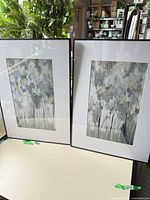 Both framed prints standing side by side showing artwork and frames