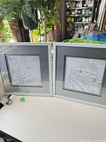 Both framed fern leaf prints side by side on table