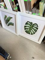 Both framed leaf prints standing side by side showing overall appearance