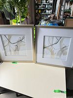 Both framed prints side by side on table
