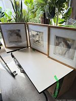 All three framed prints on table showing matching frames and size