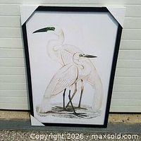 Full view of framed heron print with corner protectors