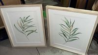 Pair of framed eucalyptus prints front view