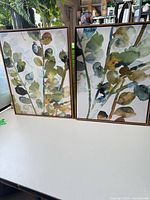 Both framed botanical prints side by side on table