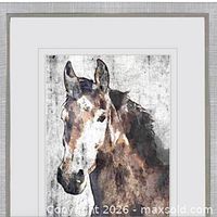 front view of framed horse print
