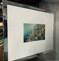 Front view of framed art showing image, mat and silver frame