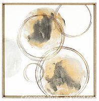 Front view of one canvas showing abstract circles, frame visible