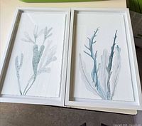 Both framed coral watercolour prints side by side