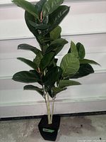 Full view of artificial rubber tree plant showing leaves and pot