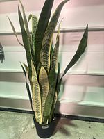Full view of artificial snake plant in pot