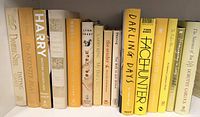 Front view of 15 yellow/beige hardcovers on shelf