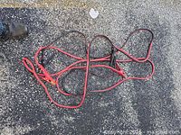 Full view of tangled red and black booster cables on asphalt