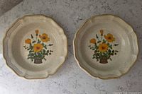 Top view of both Mikasa Petunias plates