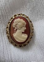 Front view of the cameo brooch showing full design and colour contrast