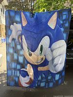 Full view of Sonic graphic curtain held up to show design and size
