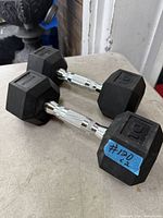 Pair of GoZone 10 lb dumbbells full view