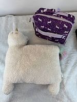 Lunch bag and plush pillow together showing overall appearance