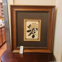 Full view of framed botanical print