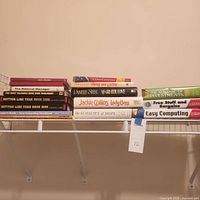 Full view of all 16 books on shelf
