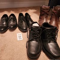All four pairs of shoes and boots arranged on carpet