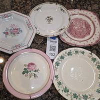 All five plates displayed on countertop showing variety of designs