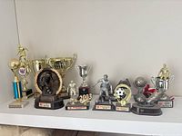Full group of ten soccer trophies on shelf