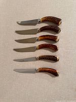 All six steak knives laid out showing handles and blades