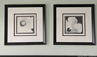 Both framed prints side by side on wall