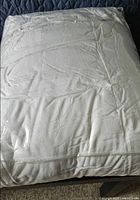 Folded duvet inside clear plastic storage bag showing overall item