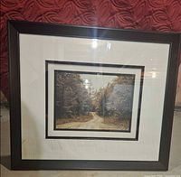Front view of framed photograph showing entire piece