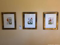 Front view of all three framed botanical prints on wall